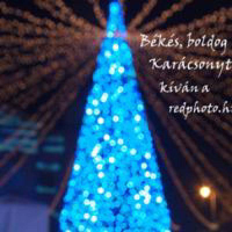 Hírek