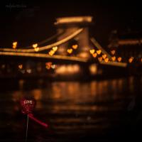 Budapest Love