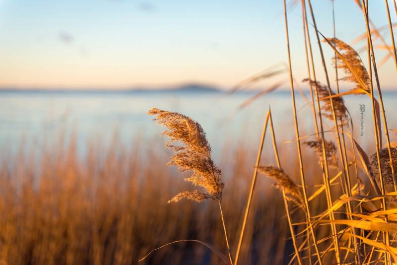 Téli hajnal a Balatonnál
