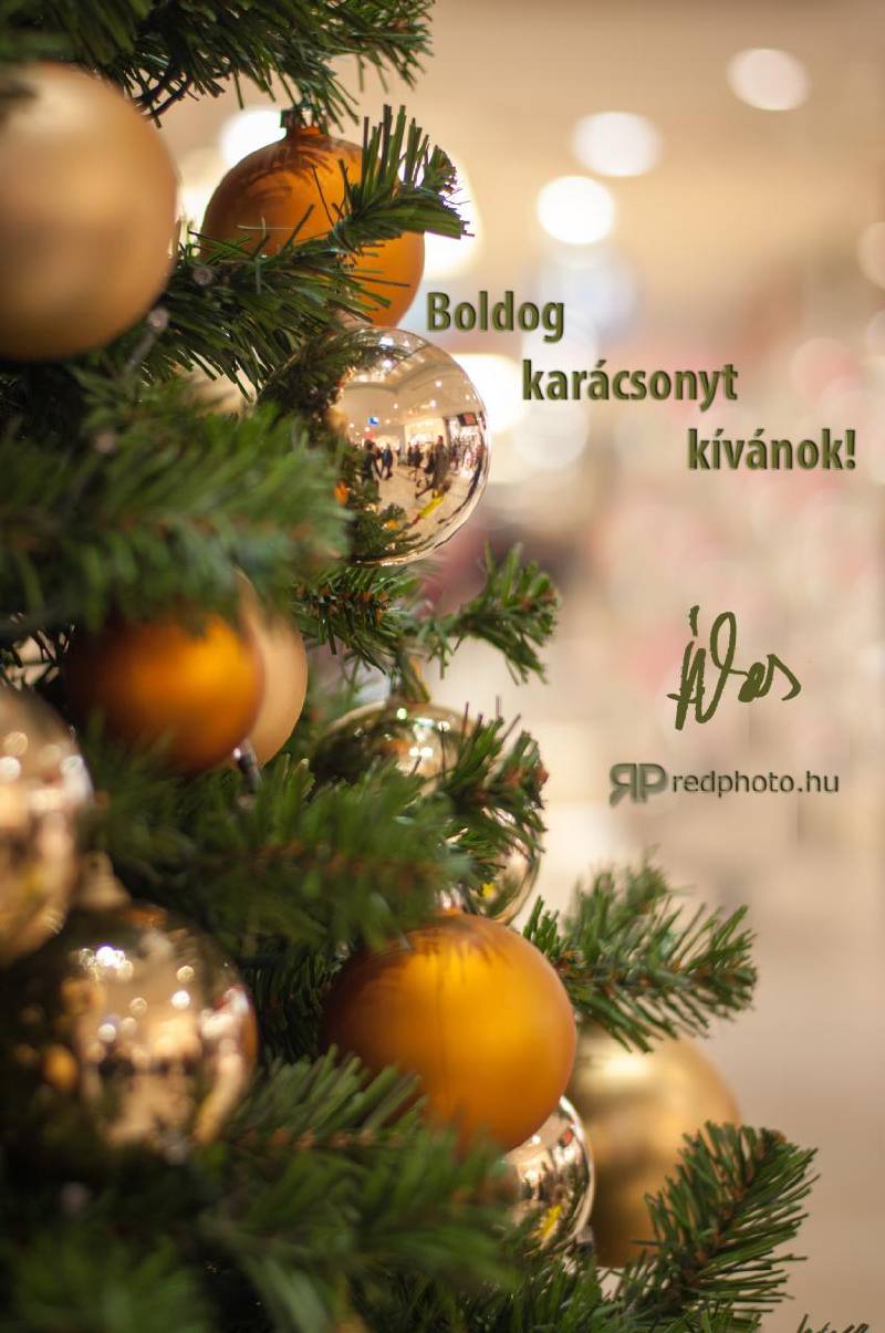 Hírek