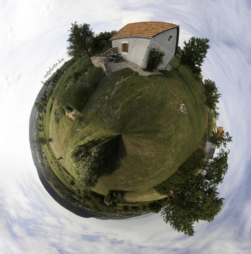 Rezeda pince